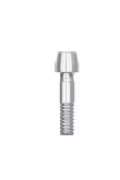 Go to product Screw for redirection Ball Torx  compatible with Camlog® iSy